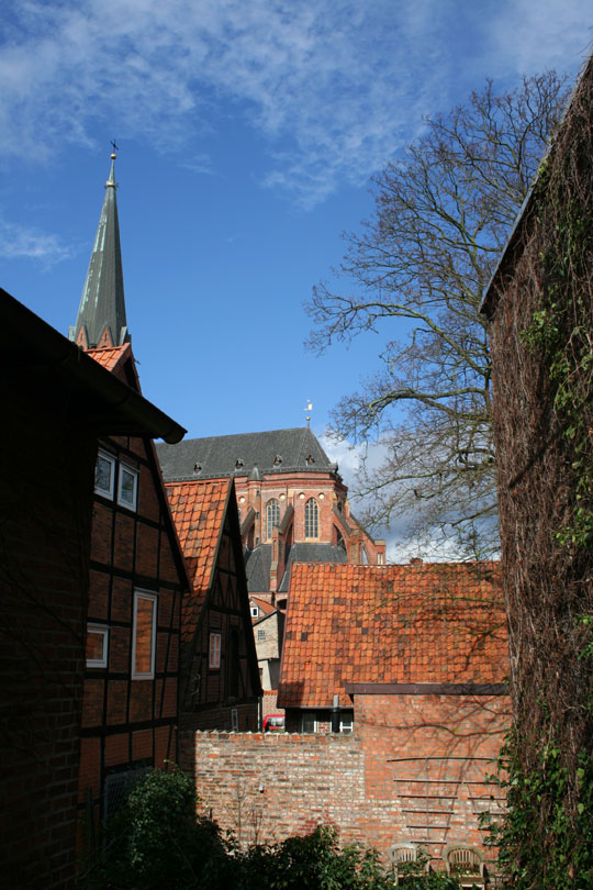 (c) Sören Greinecker